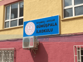 AVC MEB Vinil Germe TABELA