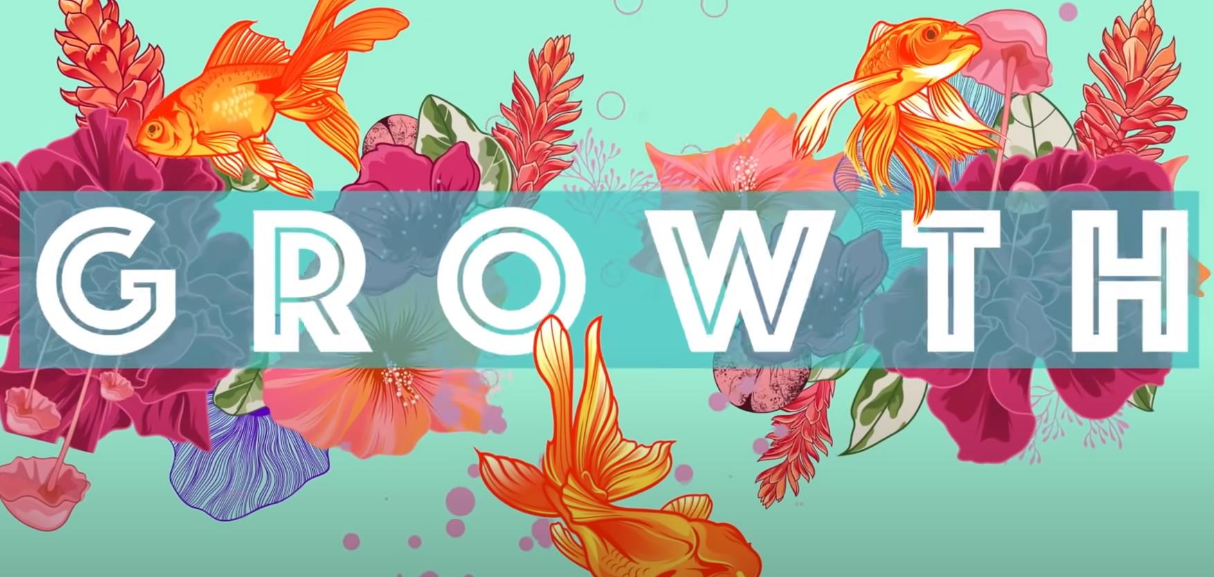 Corel Draw Nedir? Corel Draw Özellikleri Nano