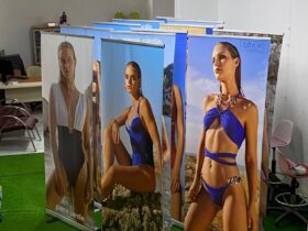 Pierre Cardin Roll Up Banner